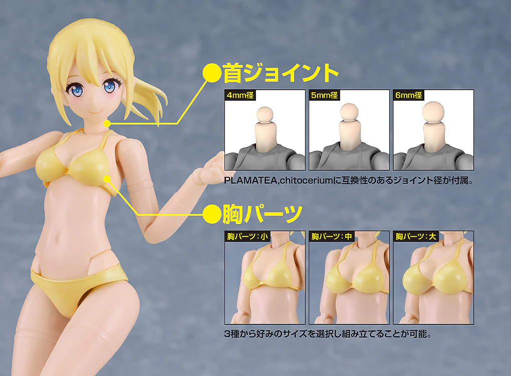 PLAMATEA Muse Body: Ichika - Bikini Ver. B Type Model Kit - Image 5
