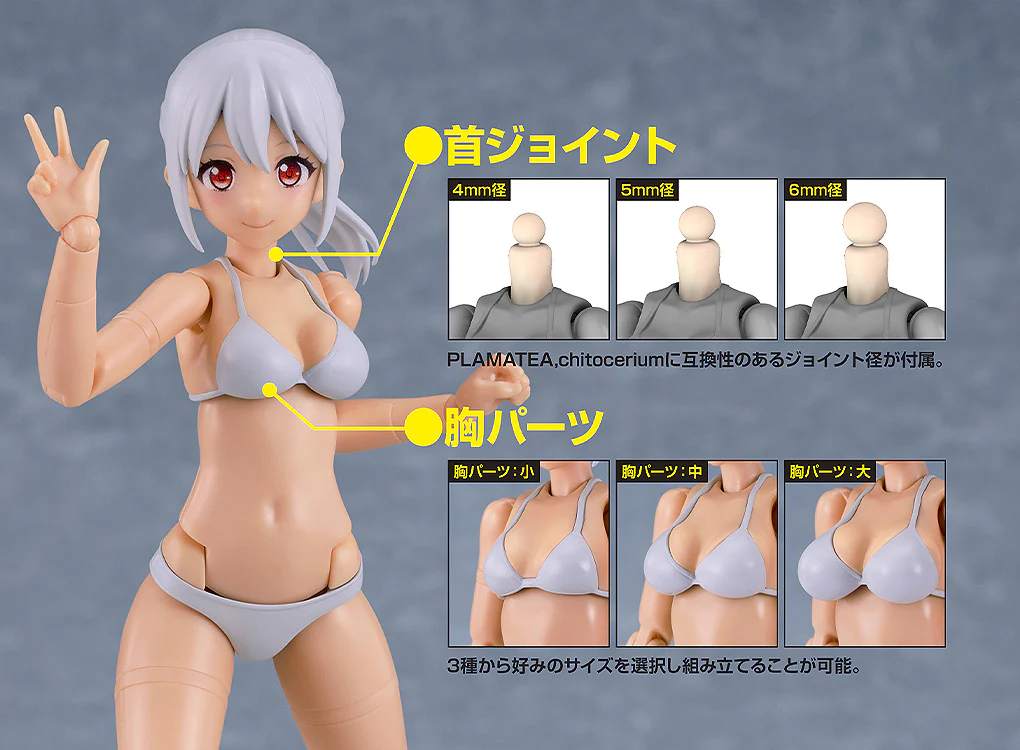 PLAMATEA Muse Body: Ichika - Bikini Ver. C Type Model Kit - Image 5